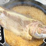 【鯛めし】魔理沙ちゃんはキャンプ鯛めしを作るようです【料理】【ゆっくり実況】