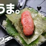 【キャンプ飯】※うますぎ注意‼ホットサンドメーカーで作る焼きおにぎらず【簡単おすすめ】