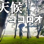 【ソロキャンプ】まさかの天候悪化‼︎暴風雨キャンプ。青森県 東北町 わかさぎ公園浜台キャンプ場。