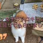 銀組キャンプ　vol.37 犬キャン女子のソロキャンプの様子を見せてもらいました！