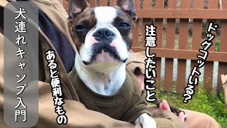 犬連れキャンプ初心者が1年キャンプしてわかったこと