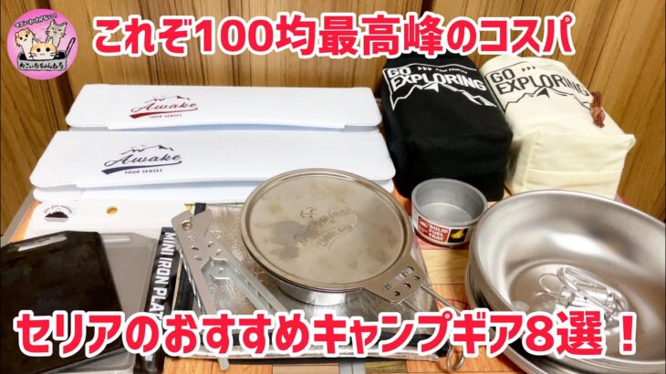 【100均キャンプ道具】今更聞けないセリアの初心者向け最強キャンプギア