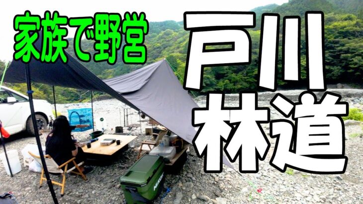 秘境！【無料･野営地･キャンプ場紹介】戸川林道･戸沢の出合で家族と野営してみた！  24時間 おトイレ使えます。