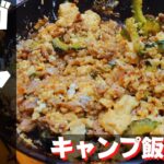 【簡単キャンプ飯】#37 ゴーヤチャンプルー♪ ソロ & ファミリー おすすめ簡単キャンプ料理✨　★スキレット料理★　☆Japanese camping food