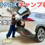 【カローラクロス#58】夫婦＋大型犬のキャンプ道具収納力検証！キャンプ女子　camp ラブラドールレトリバー　アクティブボックス　ぼんちゃん　キャンプ車　COROLLA CROSS  犬キャンプ