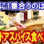 【キャンプ料理やBBQに❗️】定番人気のアウトドアスパイス食べ比べ🏕【黒瀬スパイス/ほりにし/マキシマム/極上スパイス】