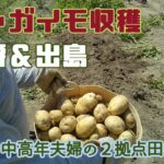 ジャガイモ試し掘りとジャガイモキャンプBBQ料理　中高年夫婦【2拠点田舎暮らし】片道100kmの２拠点生活の記録　大津市⇔三重県津市白山町