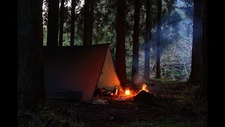 森の中でソロキャンプ 焚火で料理 Camping in winter fores