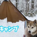 【雪降る森の雪中キャンプ⛺️】薪ストーブで料理して地酒を飲みながら食べる🍽女ひとりと一匹のソロキャンプ🐕🐾〜Making a wood stove dish in a snow camp〜