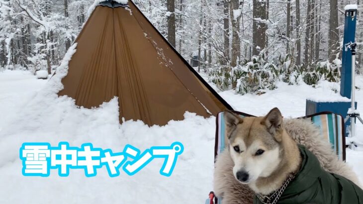 【雪降る森の雪中キャンプ⛺️】薪ストーブで料理して地酒を飲みながら食べる🍽女ひとりと一匹のソロキャンプ🐕🐾〜Making a wood stove dish in a snow camp〜