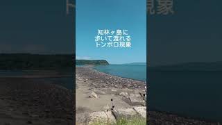 九州一周ソロキャンプの旅③鹿児島県♪指宿エコキャンプ場⛺️初心者におすすめ！#shorts #九州一周 #ソロキャンプ #指宿