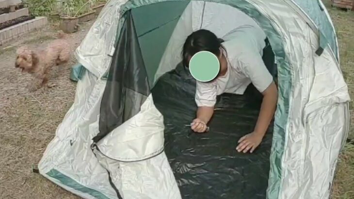 【予告】キャンプ初心者の失敗ーこんなはずじゃなかったテント編ー #shorts #camp #OUTDOOR #Camping Tent #ショート動画 #庭キャンプ