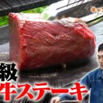 【ソロキャンプ料理】最高級の仙台牛ステーキを焼く！【草彅剛のキャンプはじめました】