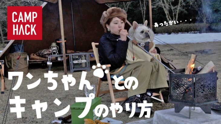 【犬連れキャンプ】一泊二日キャンプで何があると便利？キャンプギア＆ドッググッズ紹介