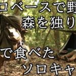 【ソロベースで野営】呑んで食べたソロキャンプ【完ソロ、森を独り占め】