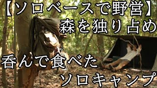 【ソロベースで野営】呑んで食べたソロキャンプ【完ソロ、森を独り占め】