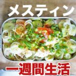 メスティン料理で一週間生活してみた【キャンプにも最適！】