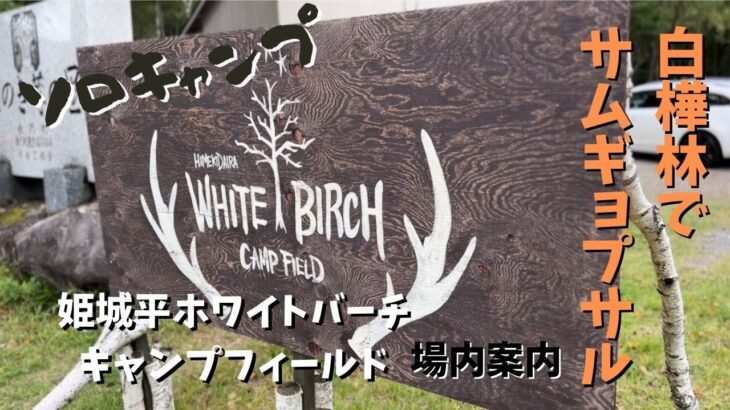 【ソロキャンプ】【姫木平ホワイトバーチキャンプフィールド】場内案内　白樺林に囲まれてサムギョプサルで宴！