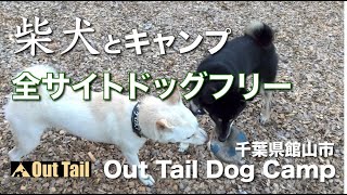 【犬とキャンプ】柴犬大喜び！全サイトがドッグラン付きのワンテイルドッグキャンプ館山で愛犬と自由なキャンプを満喫！