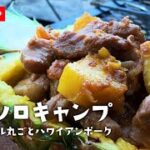 【ソロキャンプ】パイナップル丸ごと肉料理で夏の終わりハンモック泊ソロキャンプ