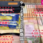 【100均キャンプ道具】ダイソーの新商品やっと手に入れたのでご紹介します！