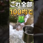 【低予算】100均キャンプ道具コーヒーが〇〇かよ/ダイソー/セリア/キャンドゥ #shorts