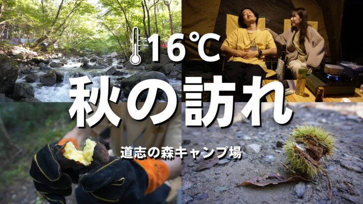 【秋キャンプ】紅葉目前16℃！寒さ対策に○○を投入！？初心者カップルキャンプ@道志の森キャンプ場