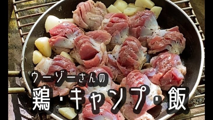 【ソロキャンプ】キャンプ歴2年目のおじさんが料理して飲みまくる動画 Vol.1