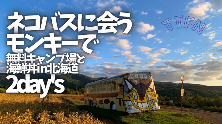 〝あのネコバスが実在⁈〟モンキー2day`s /無料キャンプ場と海鮮丼in北海道