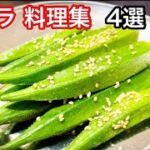 オクラ料理集4選【おつまみ、おかず、おやつ】【簡単レシピ】2022年まとめ