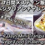 7日ベジタリアン【 メスティンキャンプ料理】で行けるか検証してみた【 北欧暮らし 】