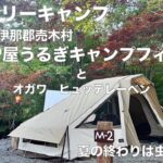 ファミリーキャンプ　長野県売木村CAMP屋うるぎキャンプフィールドとオガワヒュッテレーベン　夏の終わりは虫との闘い。