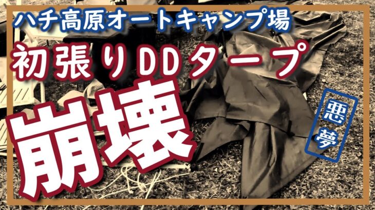 【ハチ高原オートキャンプ場】初心者キャンプ夫婦、ハチ高原で見たのは星空ではなく「DDタープ倒壊」という悪夢。