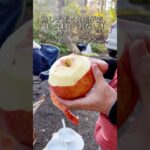 【キャンプデザート】熟しすぎた大きなリンゴ生では食べれなくて〜、【camp dessart】A big overripe apple, you can’t eat it raw!