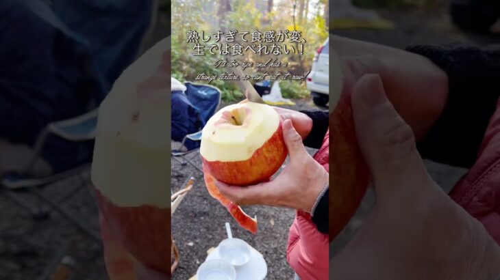 【キャンプデザート】熟しすぎた大きなリンゴ生では食べれなくて〜、【camp dessart】A big overripe apple, you can’t eat it raw!