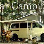 【夫婦キャンプ】愛犬とキャンピングカー で 車中泊キャンプ 焚き火 キャンプ飯 キャンプ道具 carcamping,campingwithdog,vwt4,vwt4california,ASMR