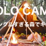 『ソロキャンプ』ジャングルみたいな所でキャンプ！！solocamping!!#キャンプ道具 #野営 #ソロキャンプ