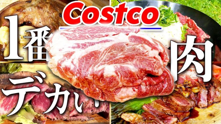 【コストコで一番でかい肉】キャンプ料理のオススメ４種類で美味しく食べ尽くす❗