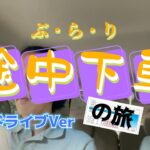 【ソロキャンプ】キャンプと猫とブッシュクラフト【ぶらり途中下車の旅】