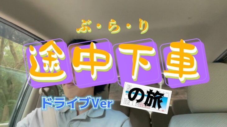 【ソロキャンプ】キャンプと猫とブッシュクラフト【ぶらり途中下車の旅】