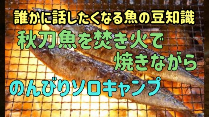 【ソロキャンプ】秋の味覚 秋刀魚を焼いてみた【お魚豆知識】