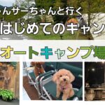 【愛犬とはじめてのキャンプ】子供が巣立った後の愛犬との暮らし