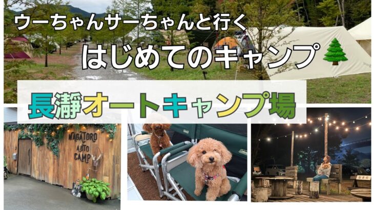 【愛犬とはじめてのキャンプ】子供が巣立った後の愛犬との暮らし