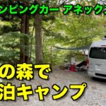 【キャンピングカー】車中泊キャンプで焚き火料理と旨い酒を満喫