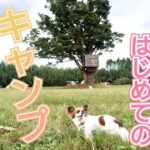 ハナちゃんとはじめてのキャンプ「前編」