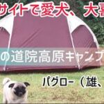 【愛犬のパグとペットサイトでキャンプ！リードがいらない！守門岳が目の前に！しかし、ずっと雨でした。。道院高原キャンプ場！】