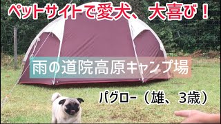 【愛犬のパグとペットサイトでキャンプ！リードがいらない！守門岳が目の前に！しかし、ずっと雨でした。。道院高原キャンプ場！】