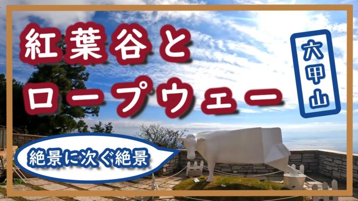 【六甲登山】初心者キャンプ夫婦、今回は山歩き。紅葉谷ルートで六甲ガーデンテラスへ。下山はロープウェーで絶景空中散歩。