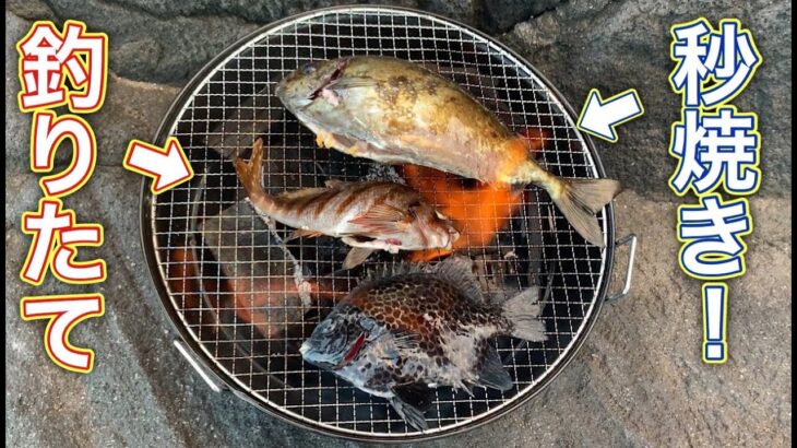 【キャンプ飯】釣った魚をその場で炭焼肉！【野外料理】磯釣り 石垣鯛 飯テロ