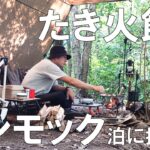 秋キャンプ　初めて森の中でハンモック泊に挑戦。焚き火料理を満喫してきた（ソロキャンプ、ヒロシに憧れて、昭和の森、焚き火料理、焼き鳥、野営）